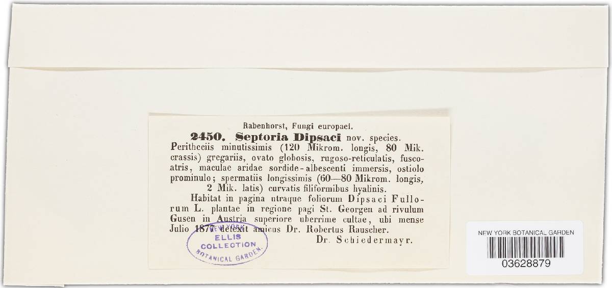 Septoria dipsaci image