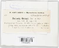 Septoria geranii image