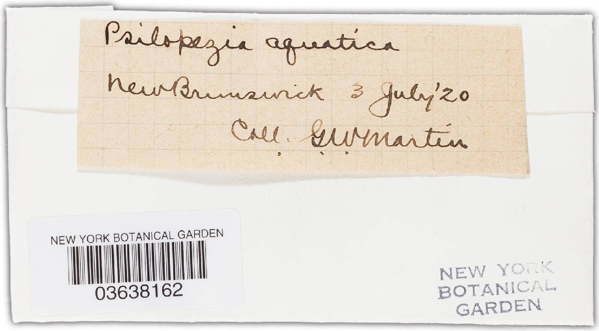 Miladina lecithina image