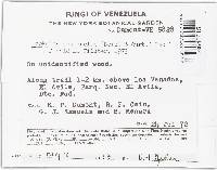 Cookeina venezuelae image