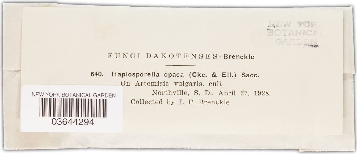 Aplosporella opaca image