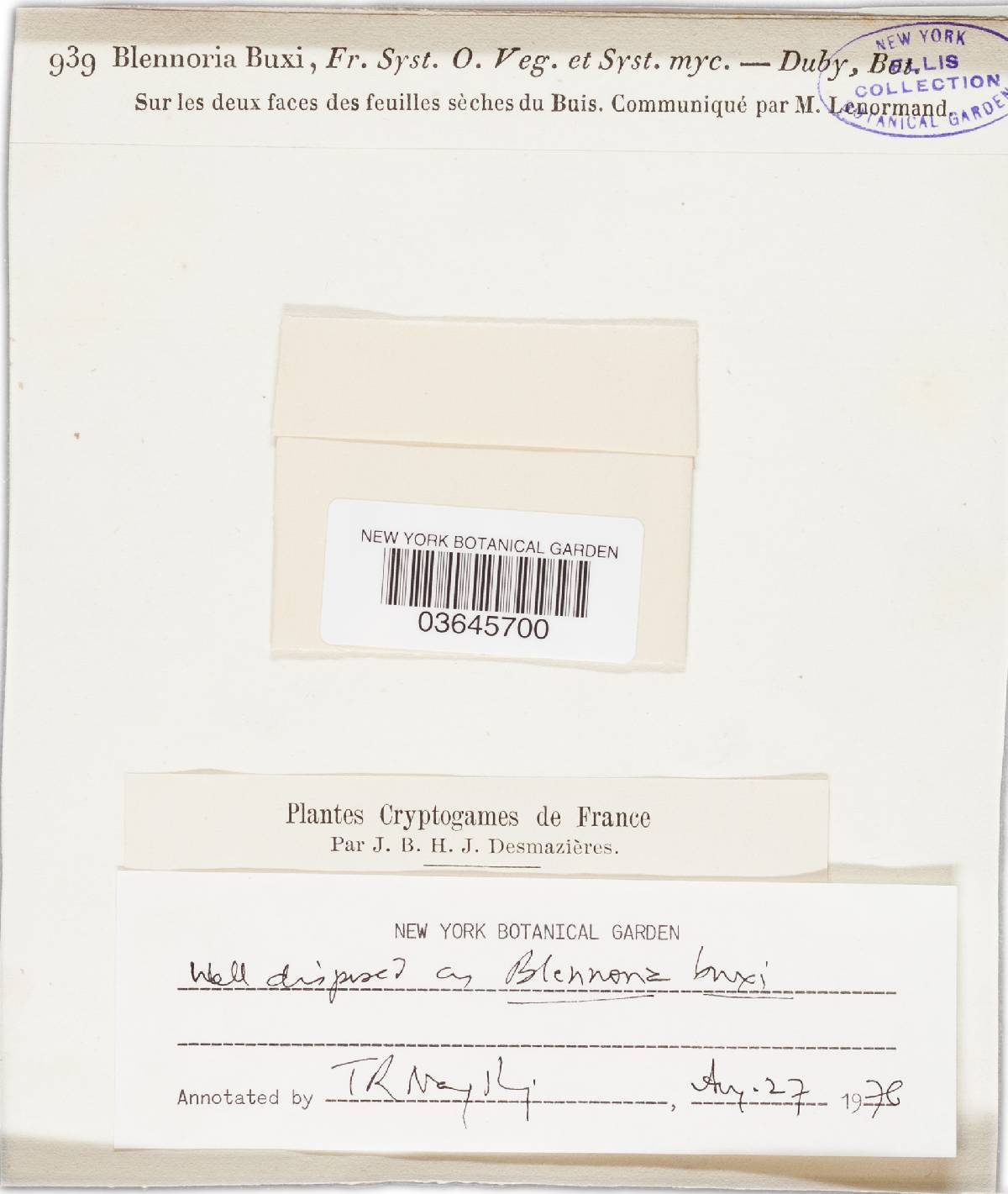 Ceuthospora buxi image