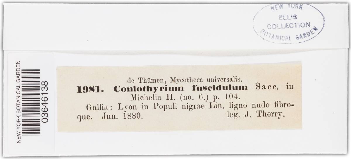 Coniothyrium fuscidulum image