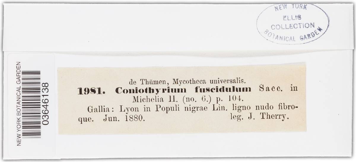 Coniothyrium fuscidulum image