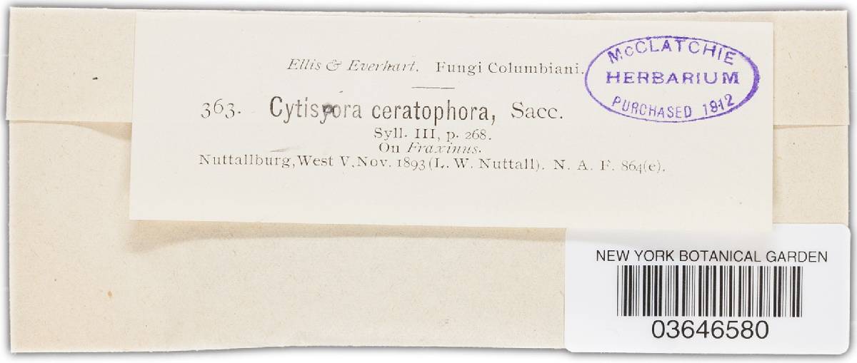 Cytospora ceratophora image