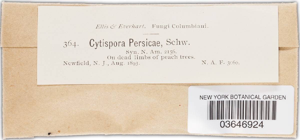 Cytospora persicae image