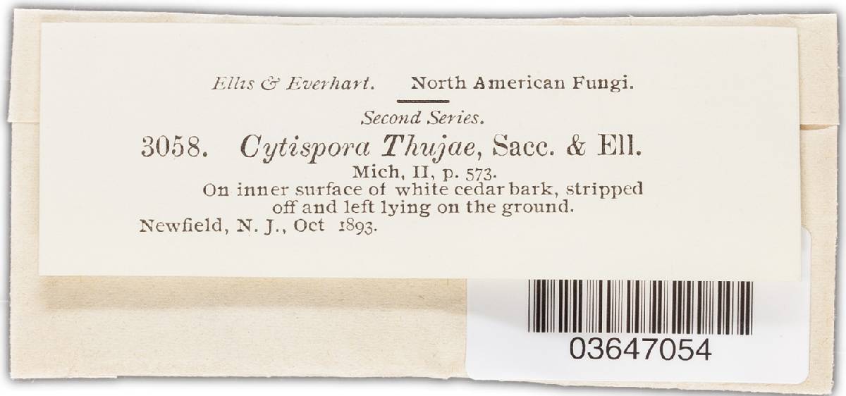 Cytospora thujae image