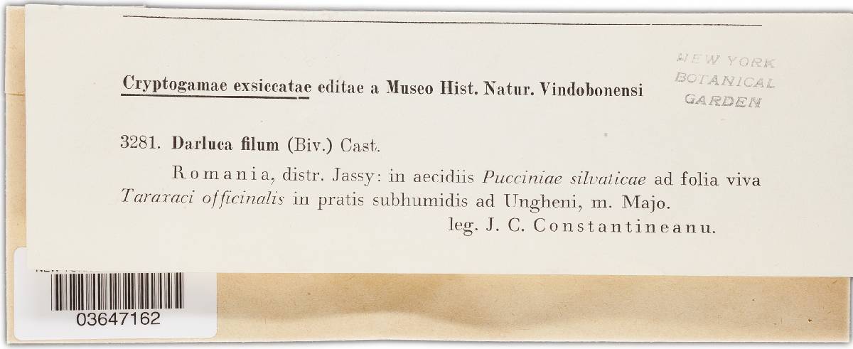 Eudarluca image
