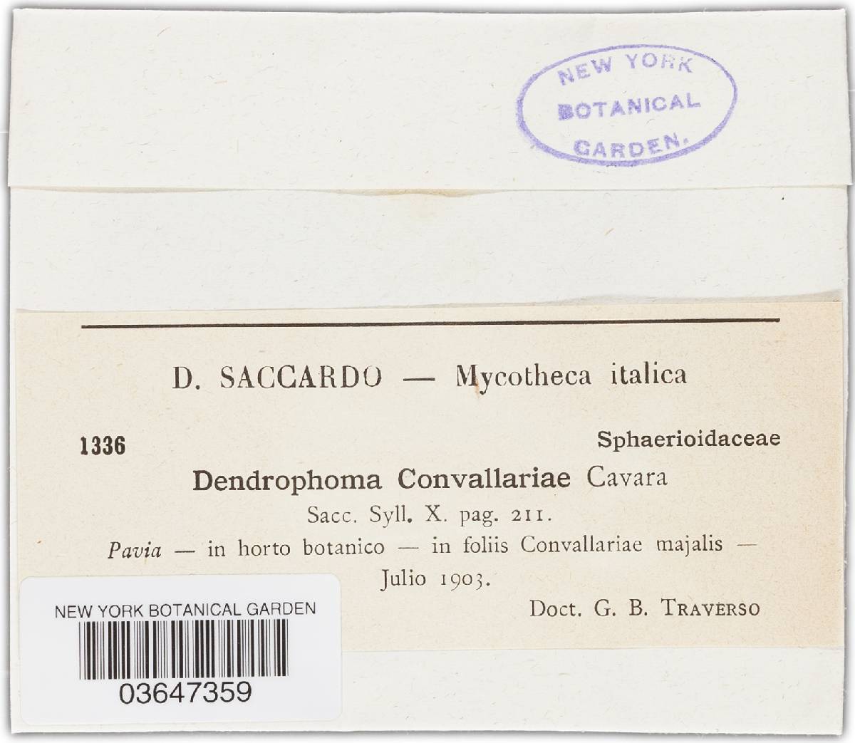 Asteromella image