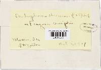 Phomopsis obscurans image