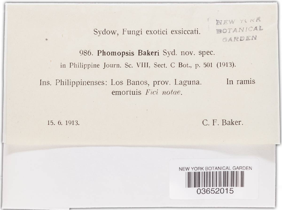 Phomopsis bakeri image