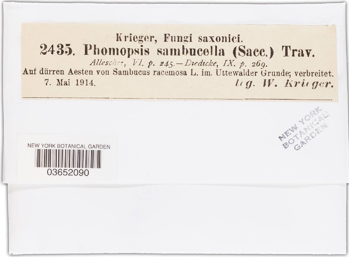 Phomopsis sambucella image
