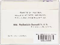 Phyllosticta desmodii image
