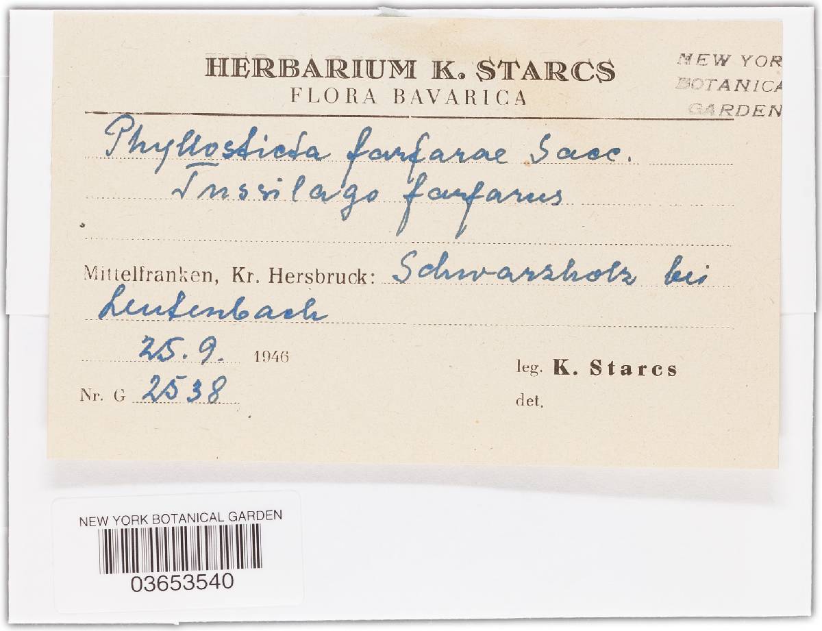 Phyllosticta farfarae image