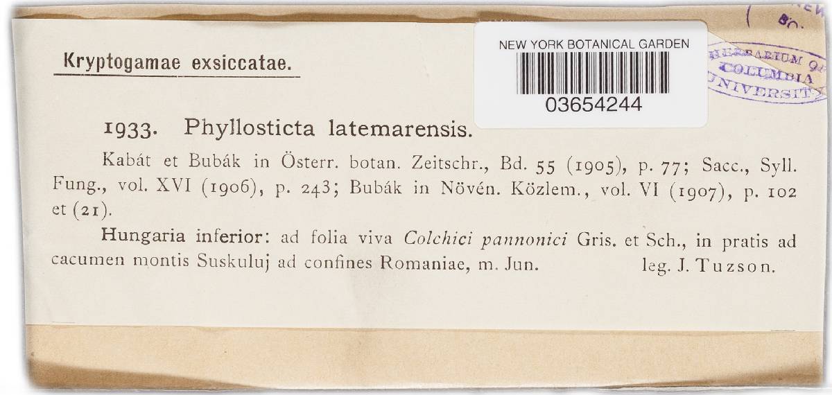 Phyllosticta latemarensis image