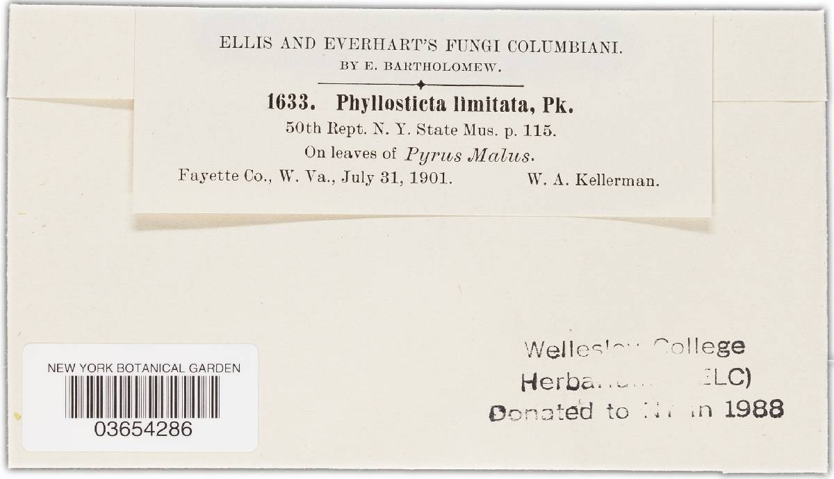 Mycosphaerella pomi image