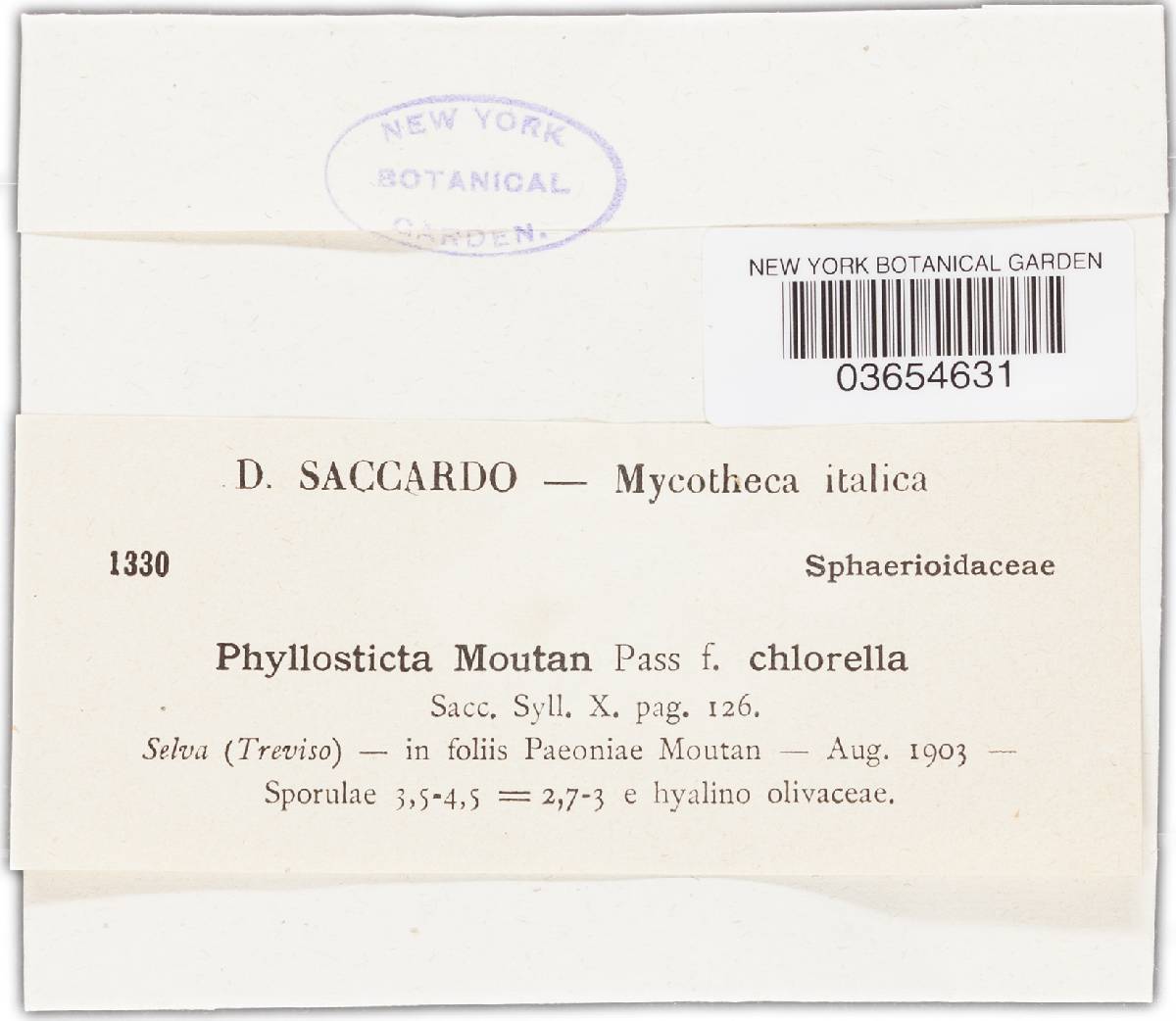 Phyllosticta moutan image
