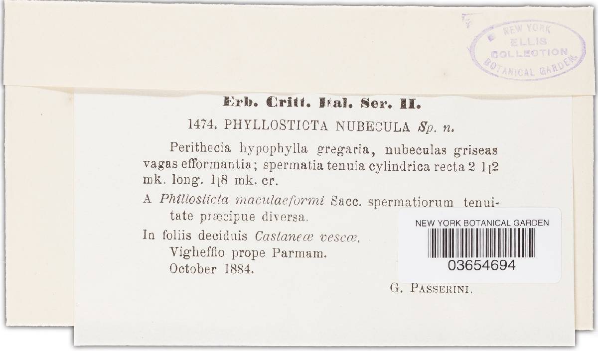 Phyllosticta nubecula image