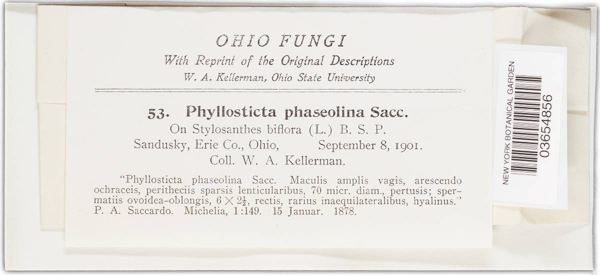 Phyllosticta phaseolina image