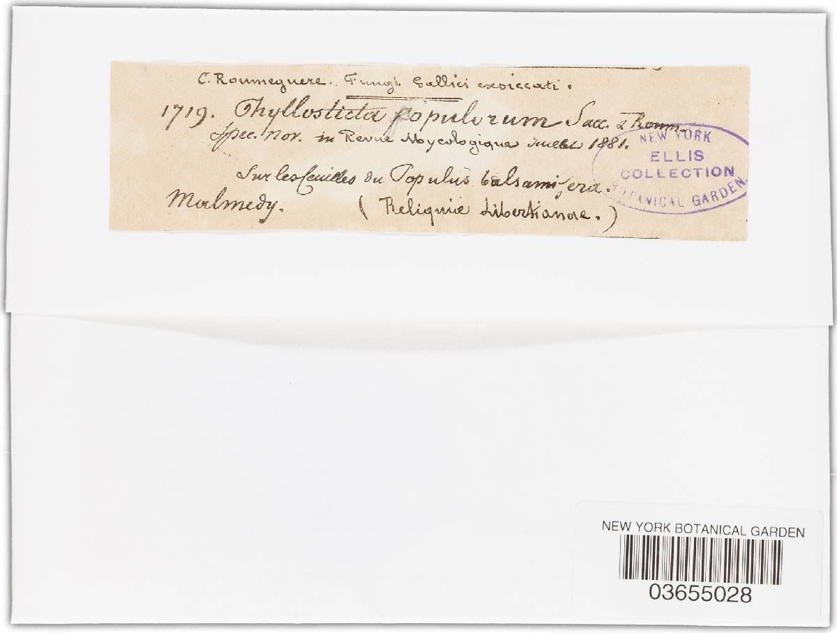 Phyllosticta populorum image