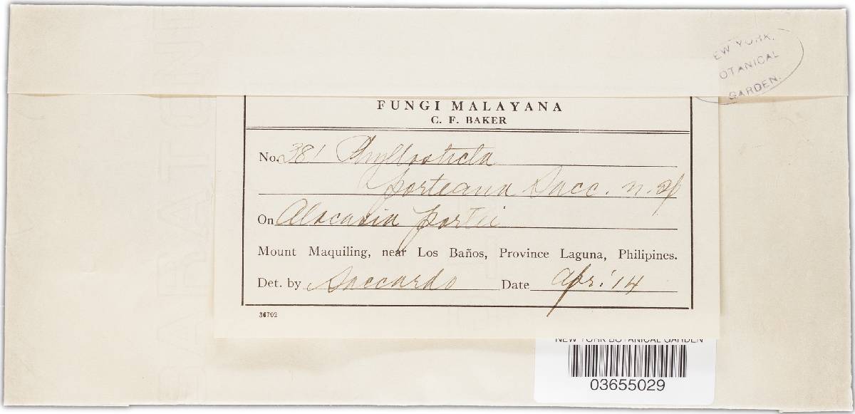 Phyllosticta porteana image