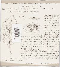 Phoma pomorum var. pomorum image