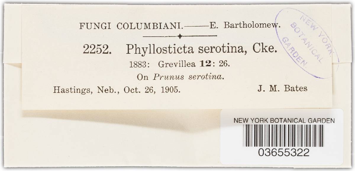 Phyllosticta serotina image