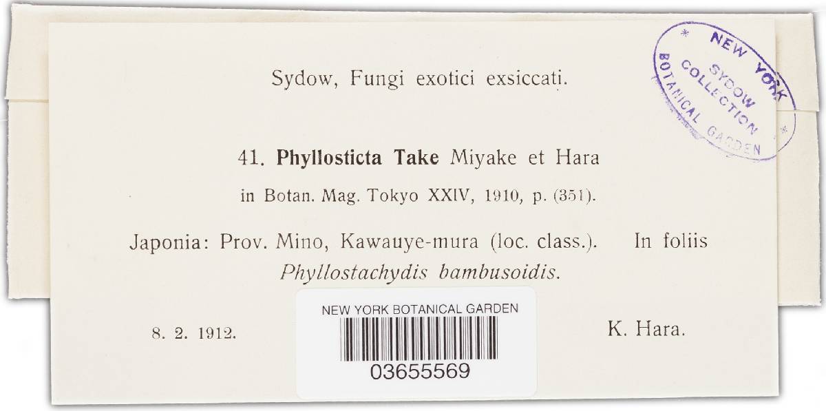Phyllosticta take image