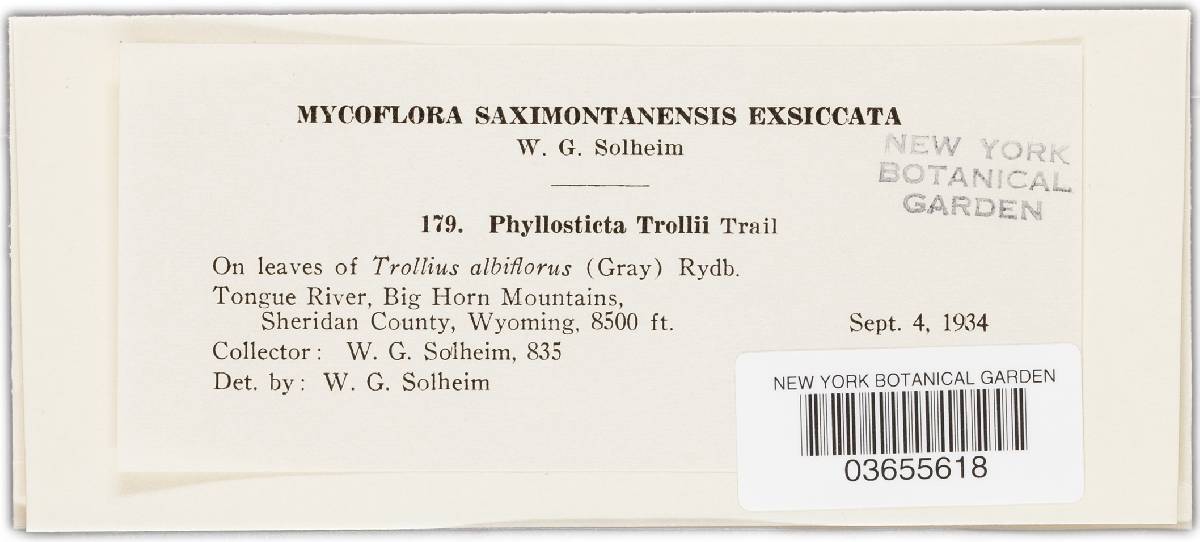 Phyllosticta trollii image