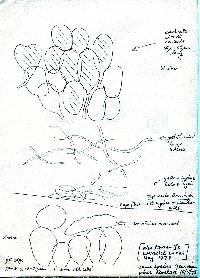 Amanita australis image