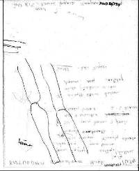 Entoloma aromaticum image