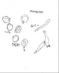 Laccaria proxima image