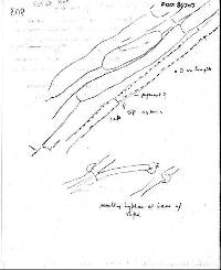 Entoloma crinitum image