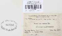 Gibberella zeae image