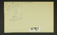 Inocybe semifulva image