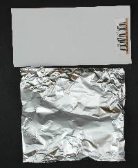 Gymnopilus luteofolius image