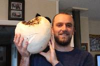 Calvatia gigantea image