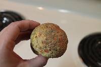 Amanita muscaria image