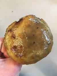 Suillus pungens image