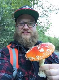 Amanita muscaria image