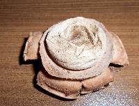 Geastrum triplex image