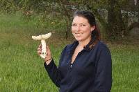 Amanita velosa image