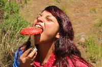 Amanita muscaria subsp. flavivolvata image