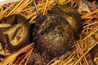 Lycoperdon umbrinum image