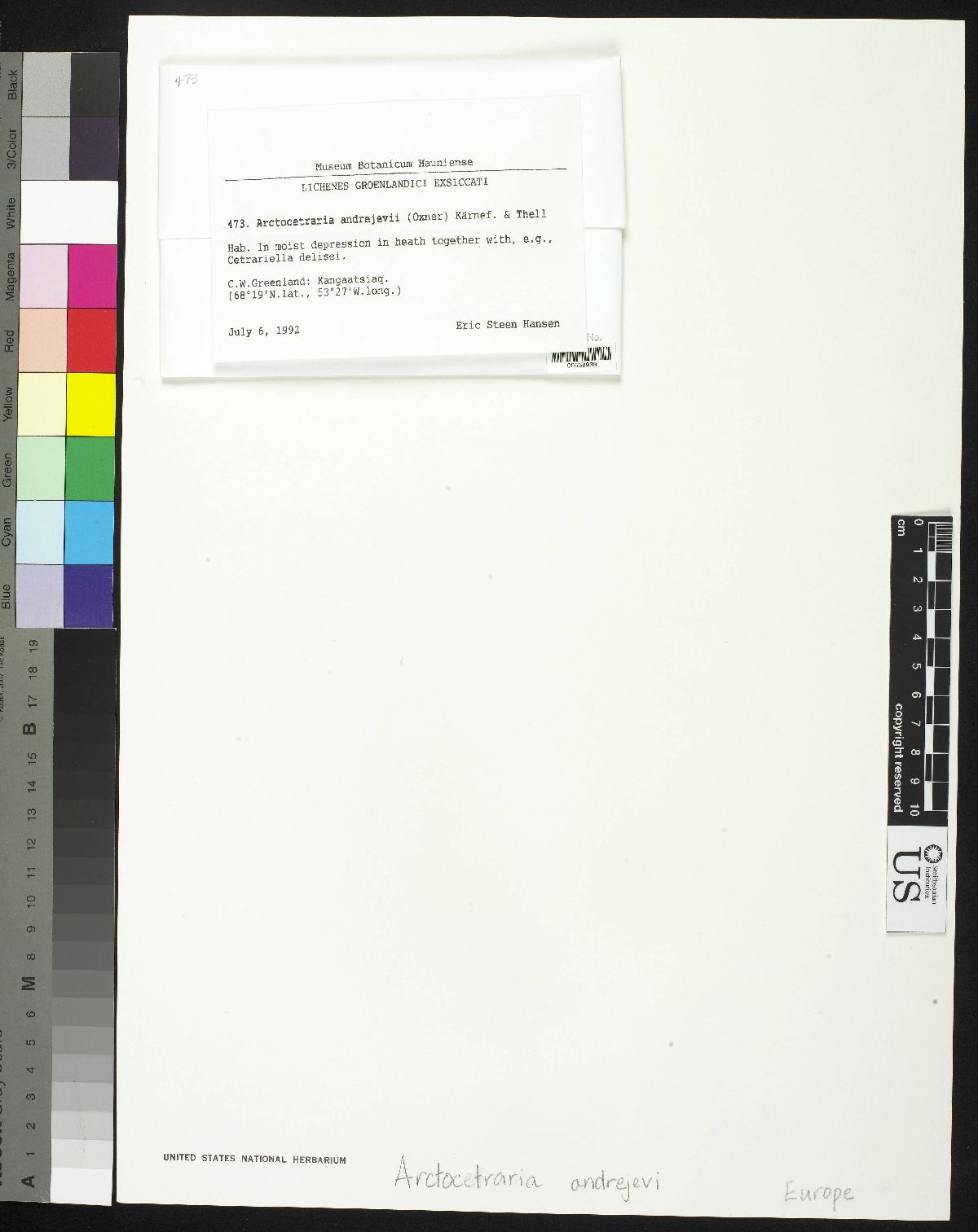 Arctocetraria andrejevii image