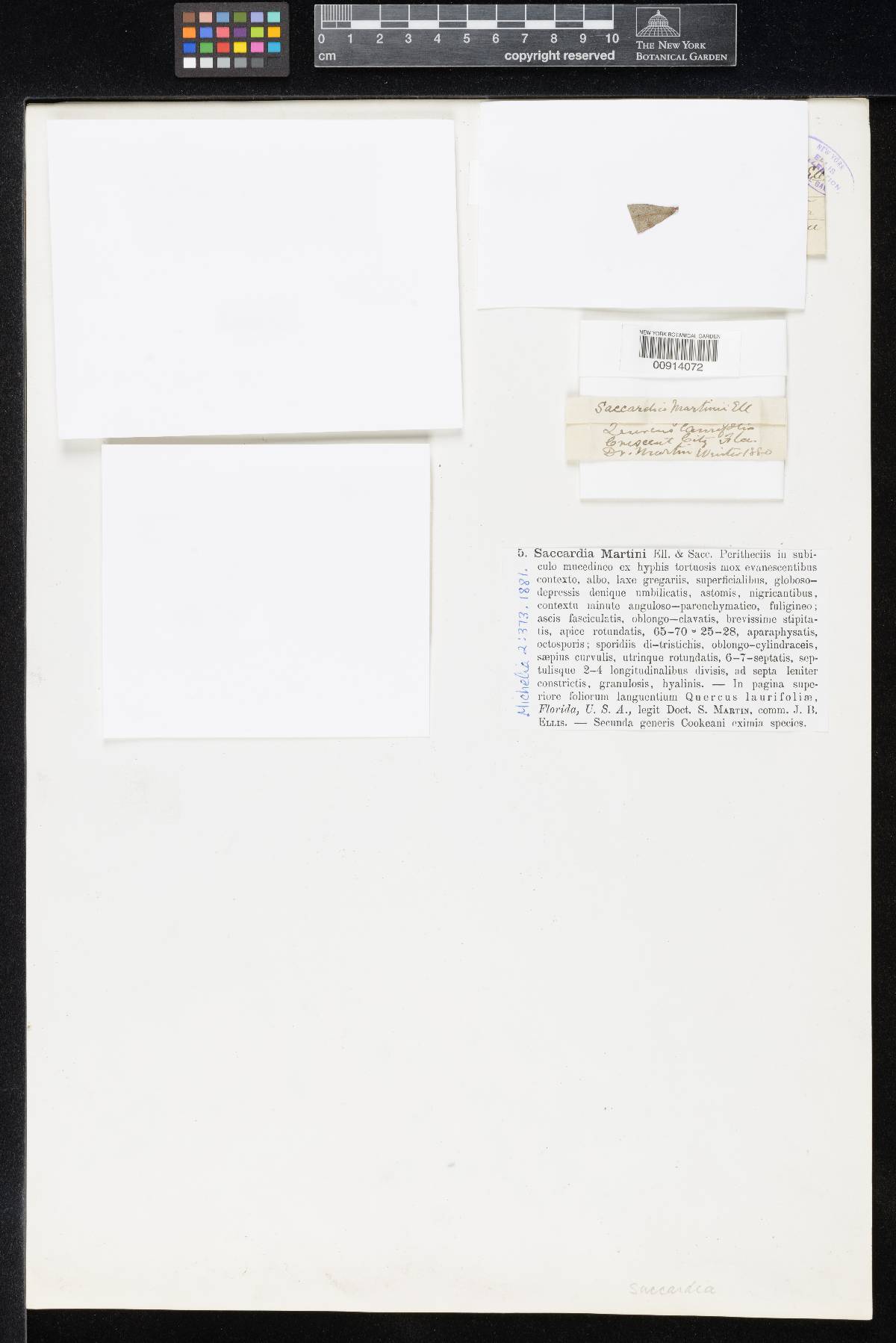 Saccardia martinii image