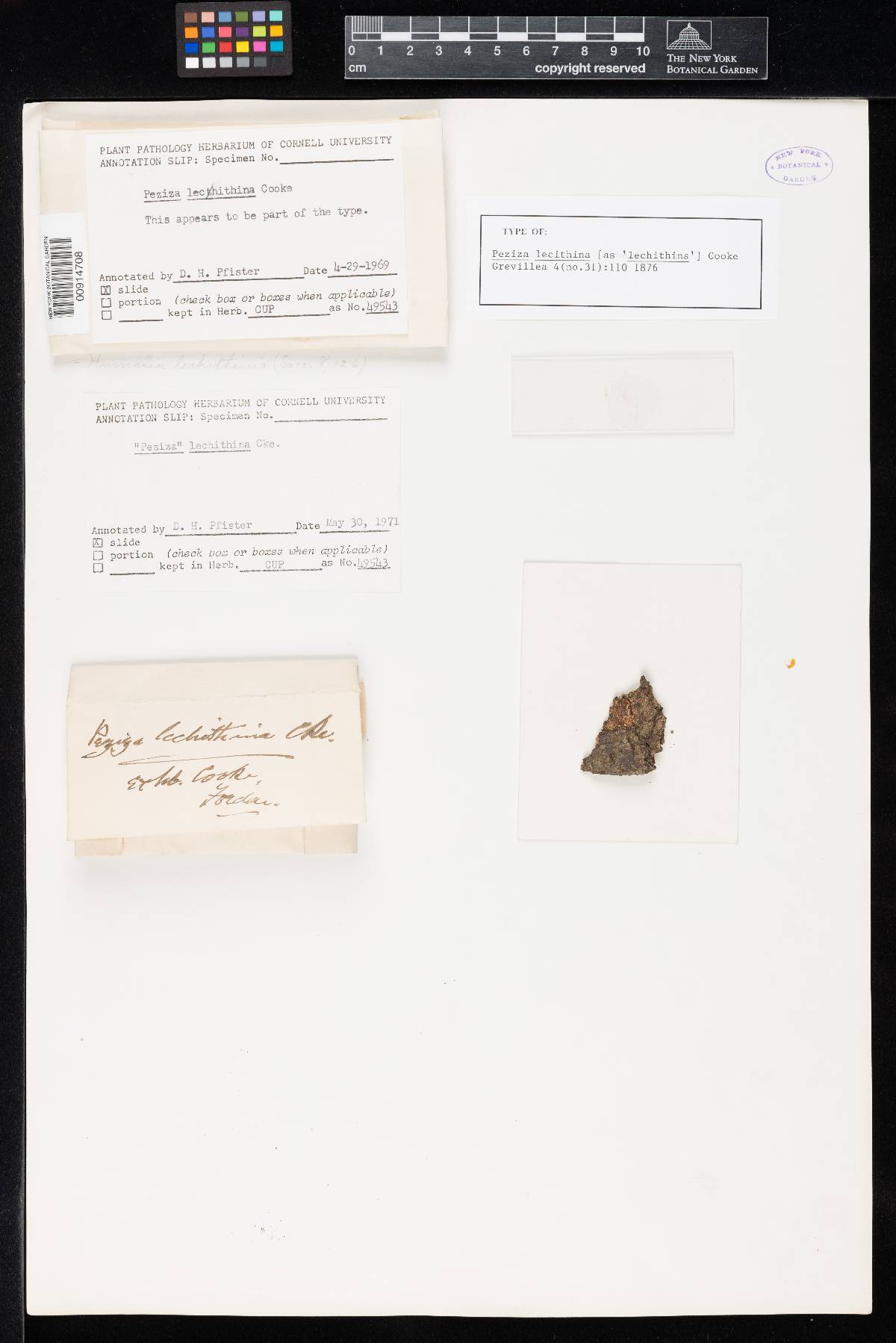 Miladina lecithina image