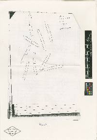 Nectria septomyrothecii image