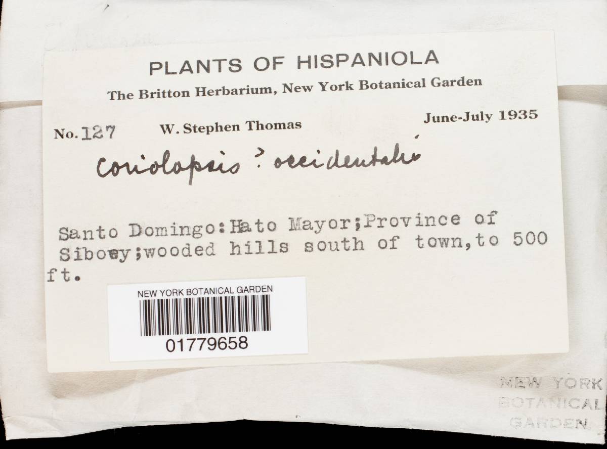 Funalia polyzona image