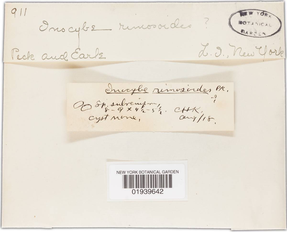 Inocybe rimosoides image